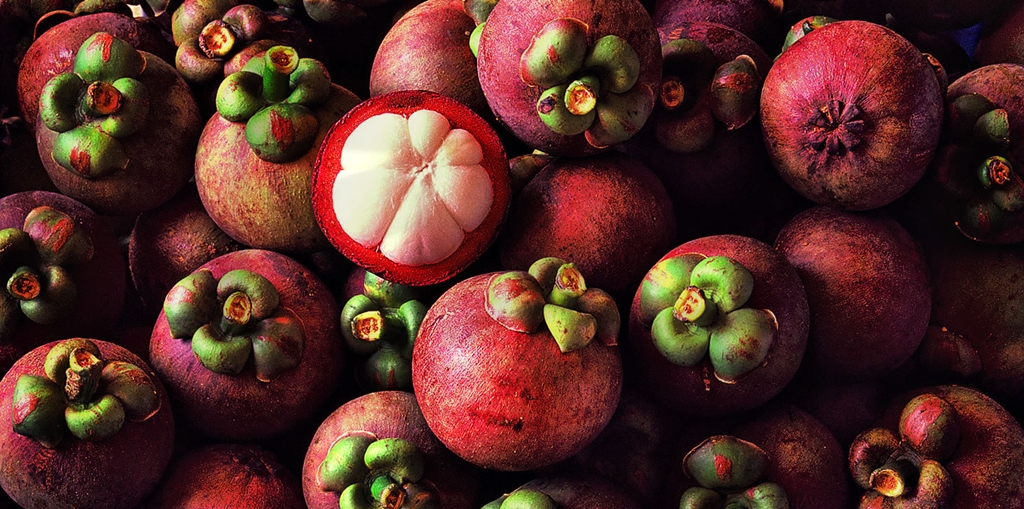 Kulit Manggis Bikin Meringis