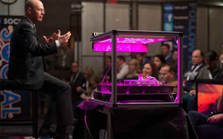 Bunga Pertama Yang Tumbuh di Luar Angkasa