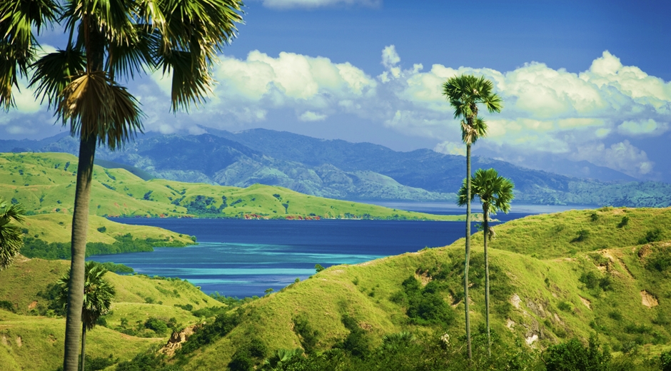 Menikmati Atas dan Bawah Laut Pulau Komodo